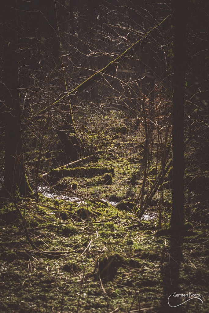 Vosges-013.jpg