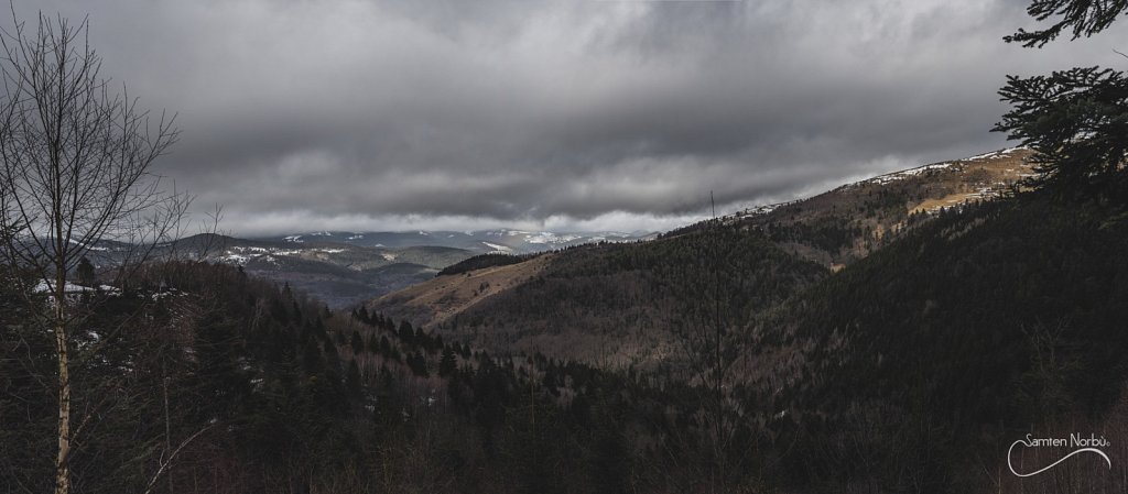 Vosges-050.jpg