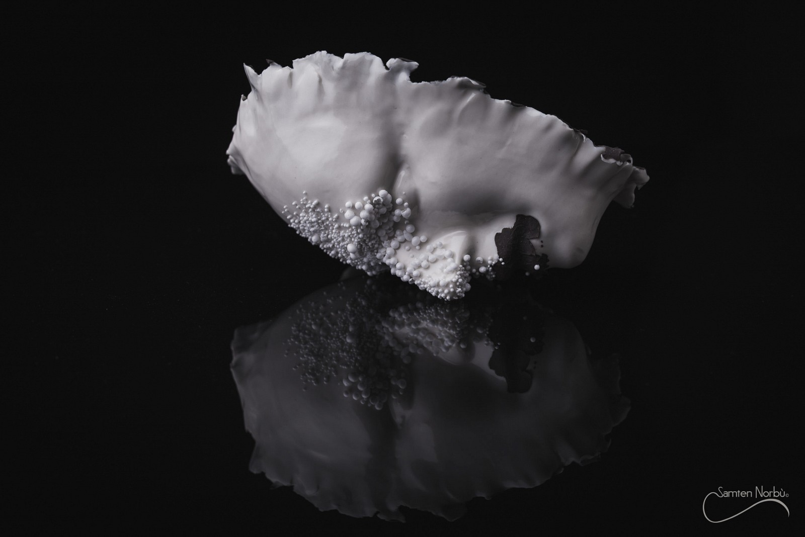 Artisanat d'art — photographies de Samten Norbù