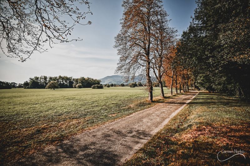 Alsace — photographie de Samten Norbù