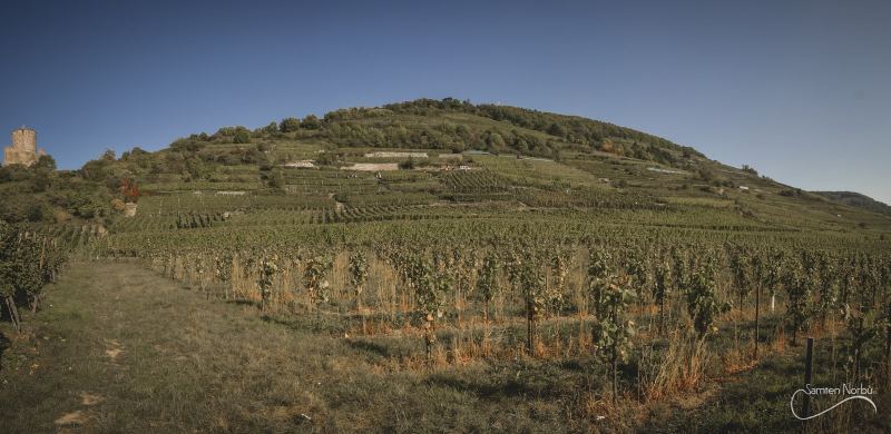 Alsace — photographie de Samten Norbù