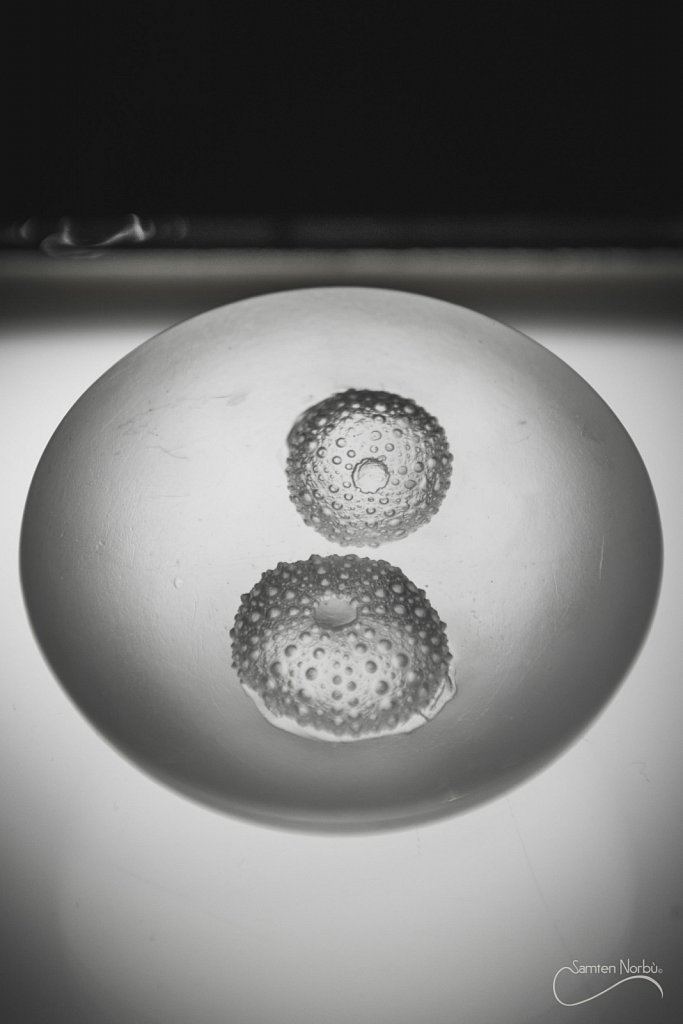 Artisanat d'art — photographie de Samten Norbù