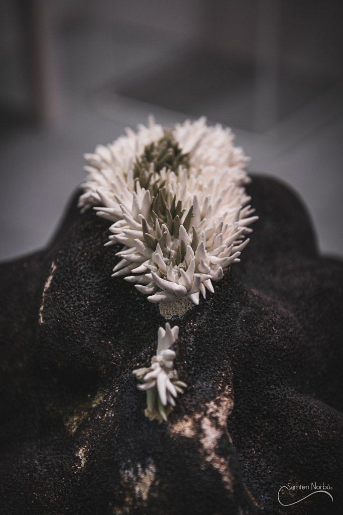 Artisanat d'art — photographie de Samten Norbù