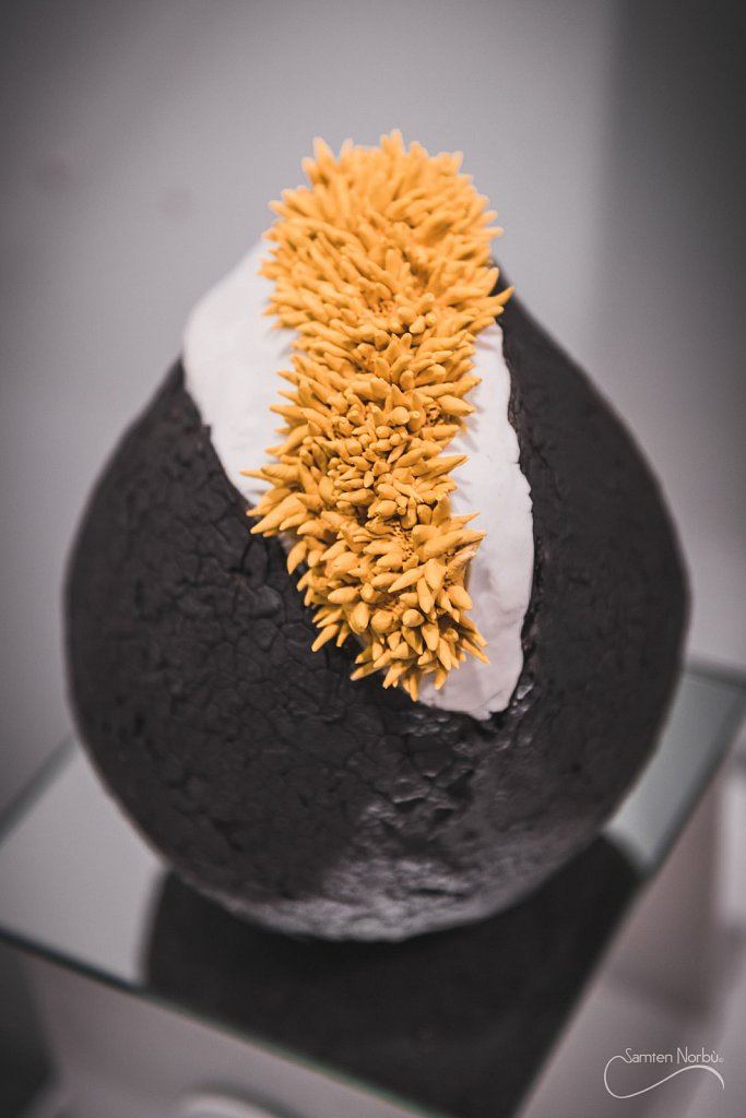 Artisanat d'art — photographie de Samten Norbù