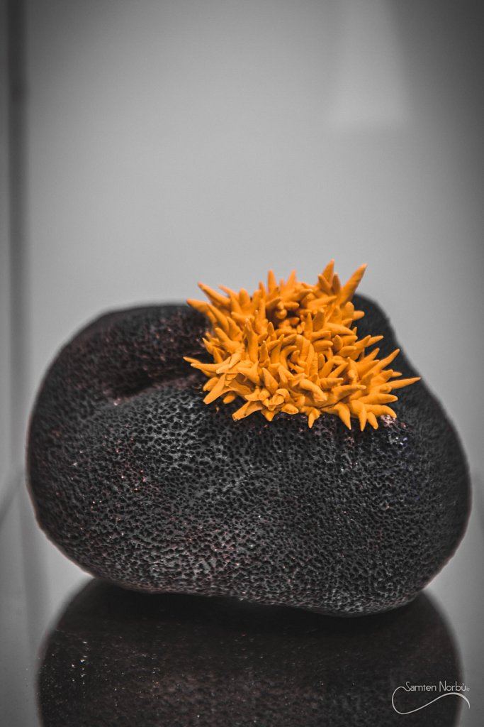 Artisanat d'art — photographie de Samten Norbù