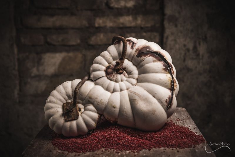 Artisanat d'art — photographie de Samten Norbù