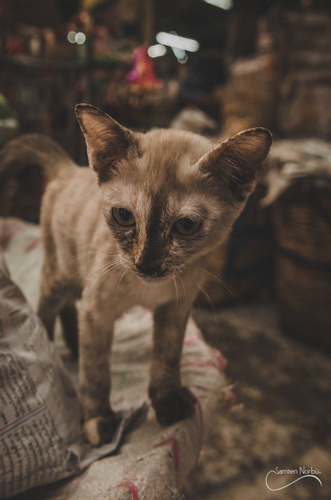 Bangkok — photographie de Samten Norbù