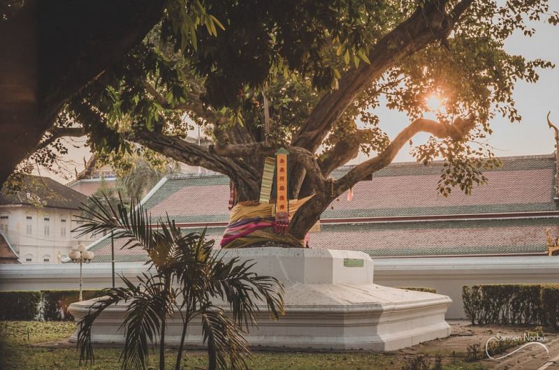 Bangkok — photographie de Samten Norbù