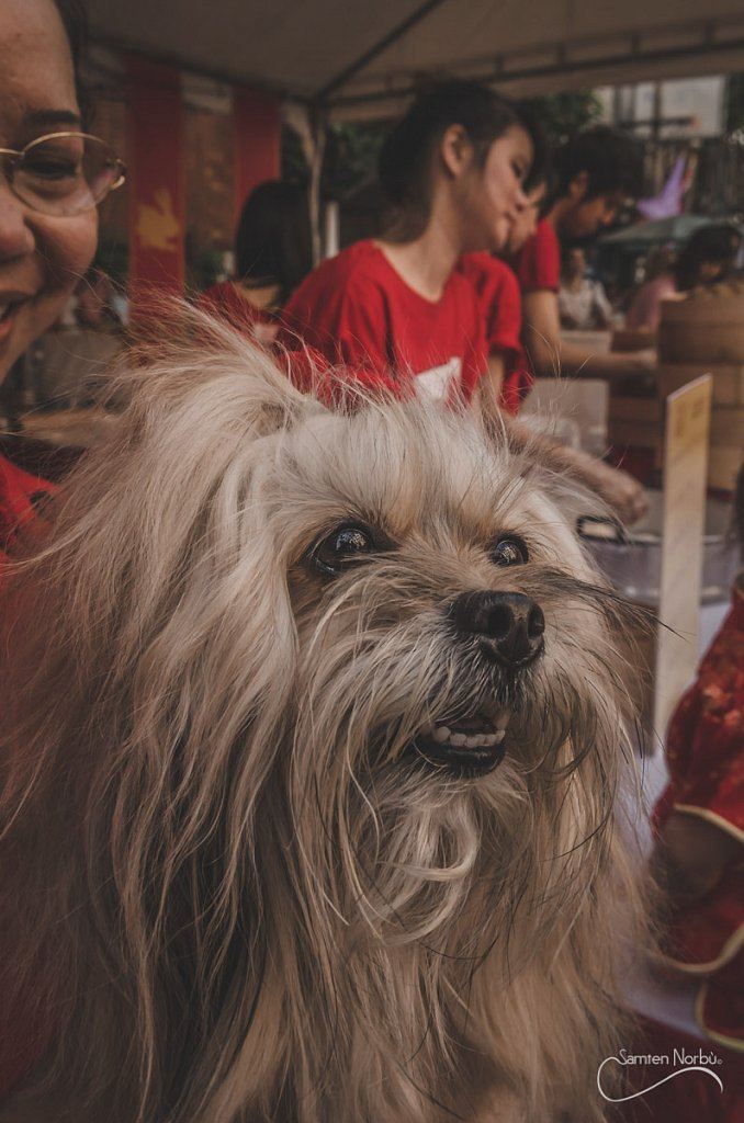 Chinatown — photographie de Samten Norbù