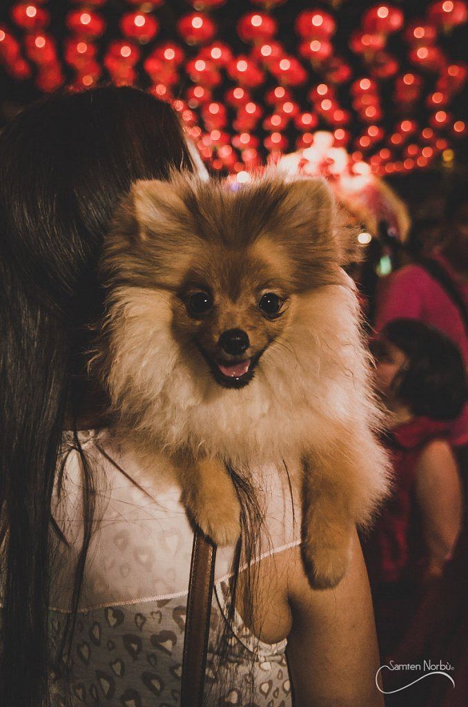 Chinatown — photographie de Samten Norbù
