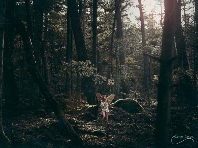 Créations numériques — photographie de Samten Norbù