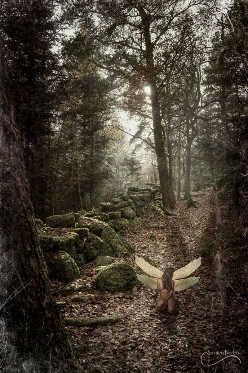 Créations numériques — photographie de Samten Norbù