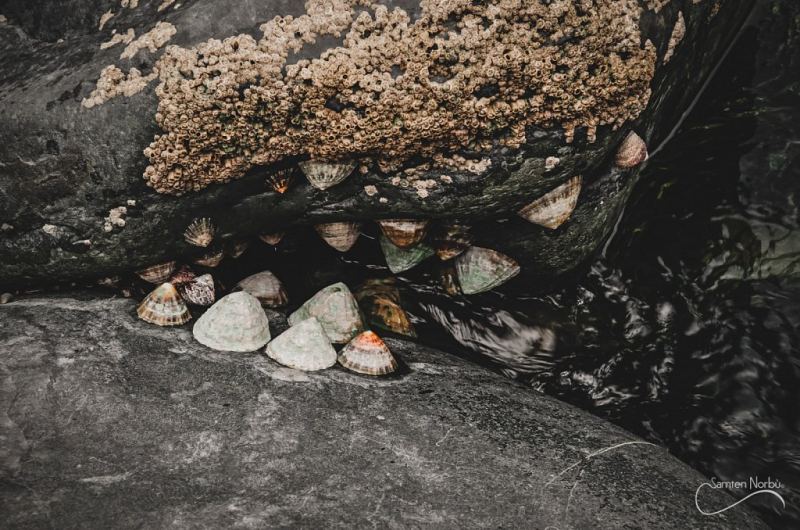 Irland Angleterre — photographie de Samten Norbù