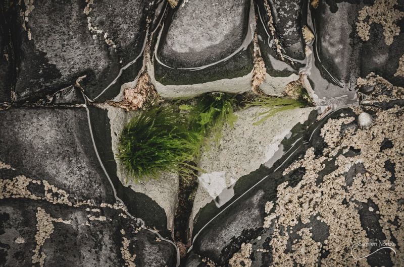 Irland Angleterre — photographie de Samten Norbù