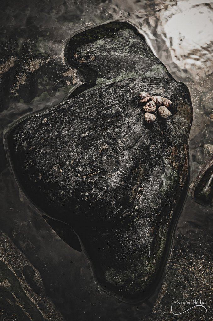 Irland Angleterre — photographie de Samten Norbù