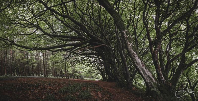 Irland Angleterre — photographie de Samten Norbù