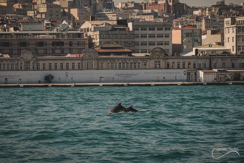 Istanbul — photographie de Samten Norbù