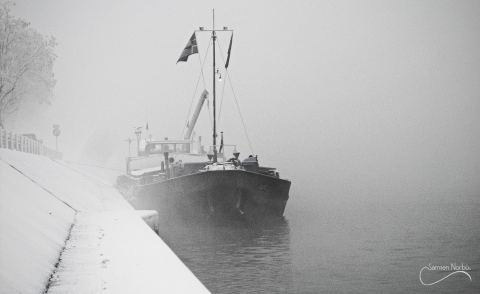La vie du Rhin — photographies de Samten Norbù