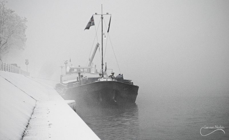 La vie du Rhin — photographie de Samten Norbù