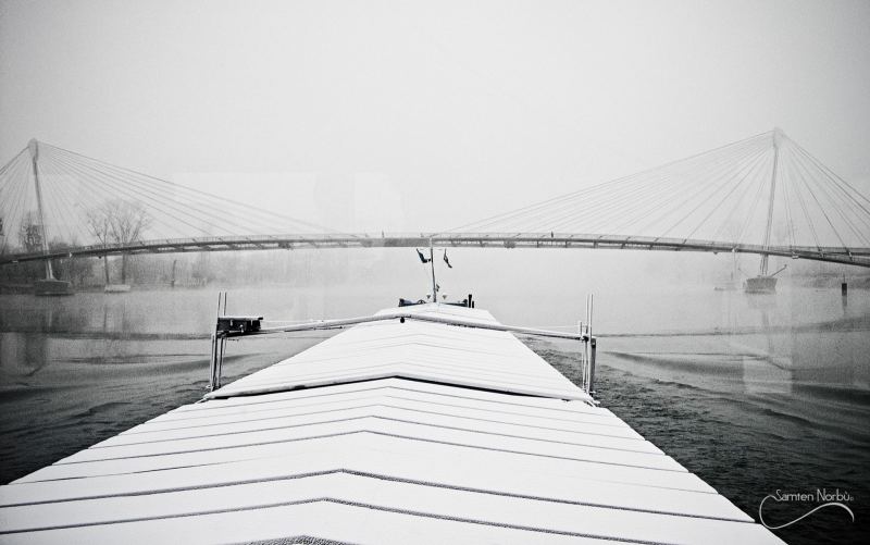 La vie du Rhin — photographie de Samten Norbù