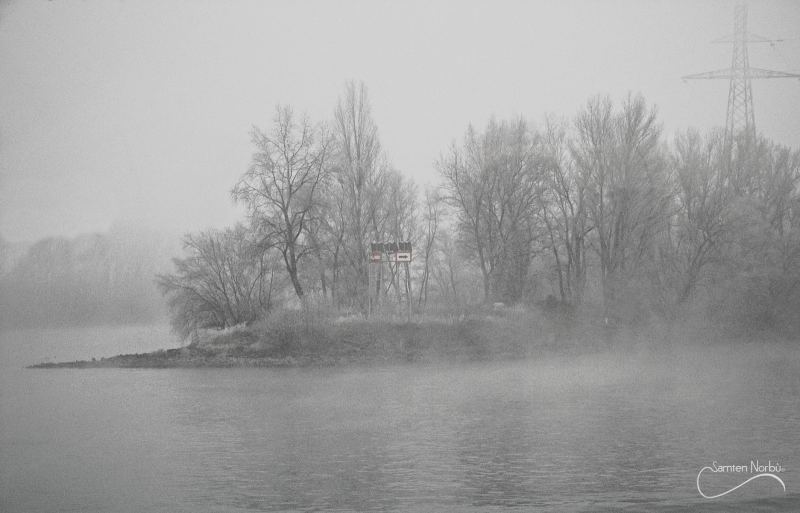 La vie du Rhin — photographie de Samten Norbù