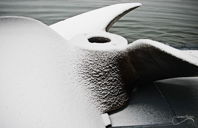 La vie du Rhin — photographie de Samten Norbù