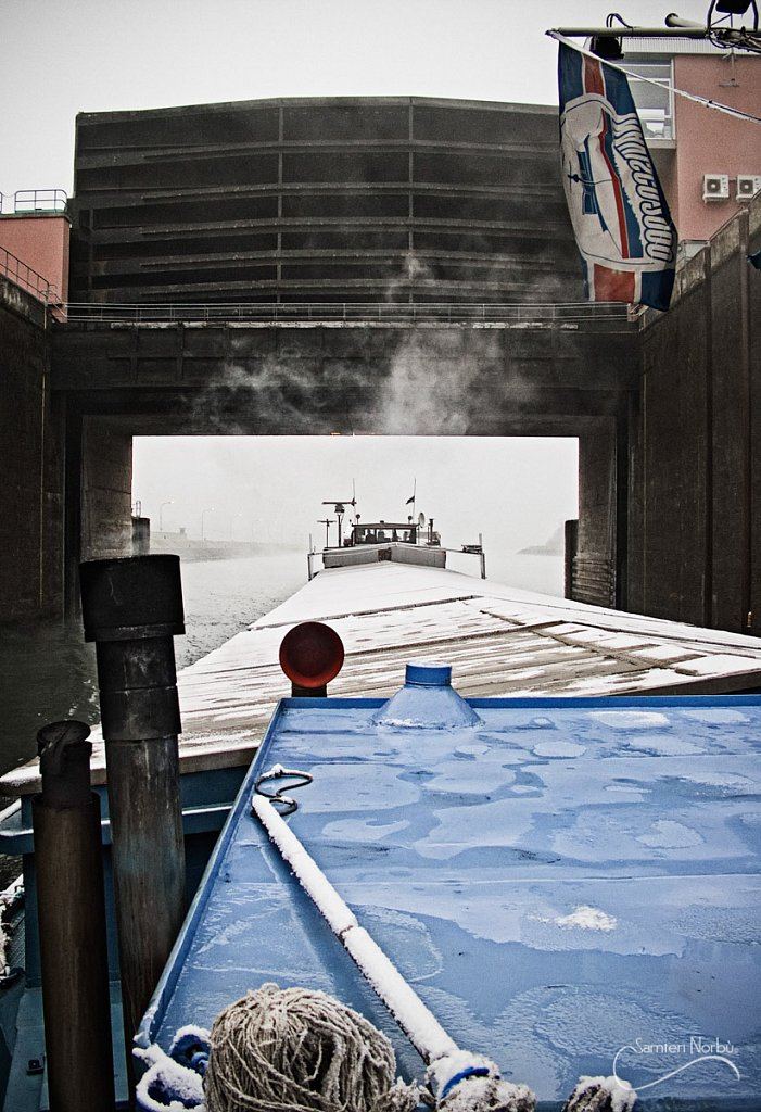La vie du Rhin — photographie de Samten Norbù