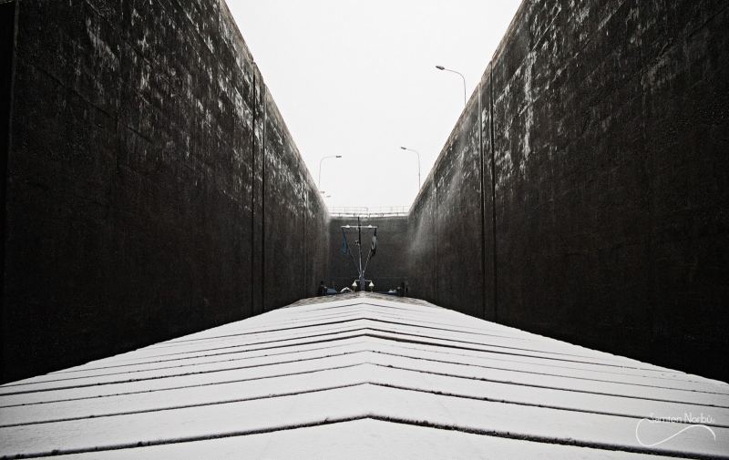 La vie du Rhin — photographie de Samten Norbù