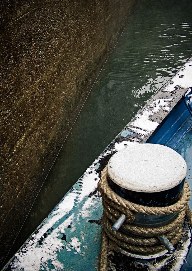 La vie du Rhin — photographie de Samten Norbù