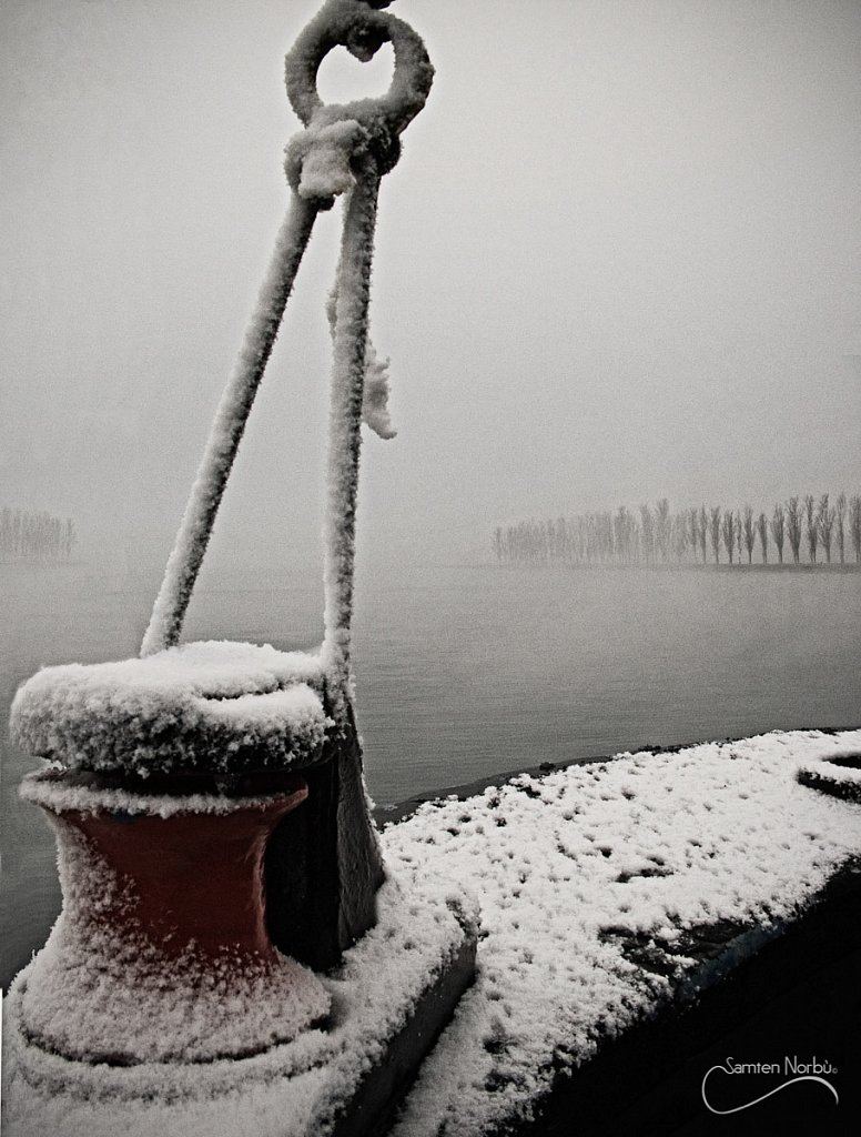La vie du Rhin — photographie de Samten Norbù