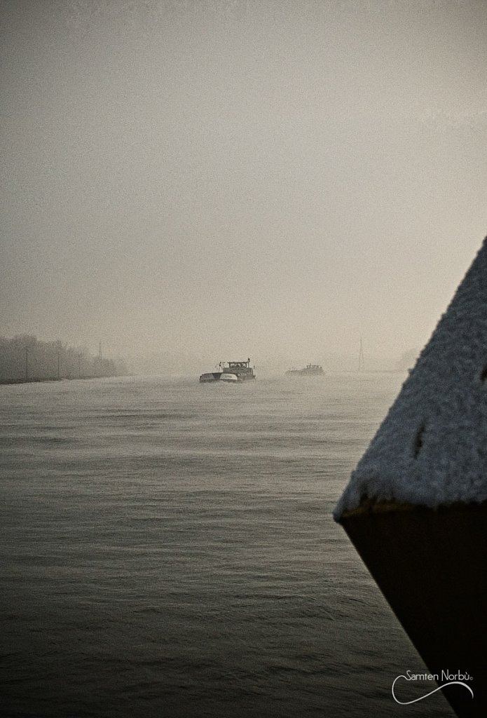 La vie du Rhin — photographie de Samten Norbù