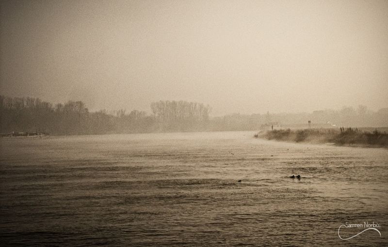 La vie du Rhin — photographie de Samten Norbù