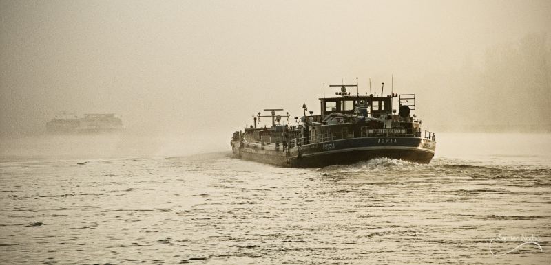 La vie du Rhin — photographie de Samten Norbù