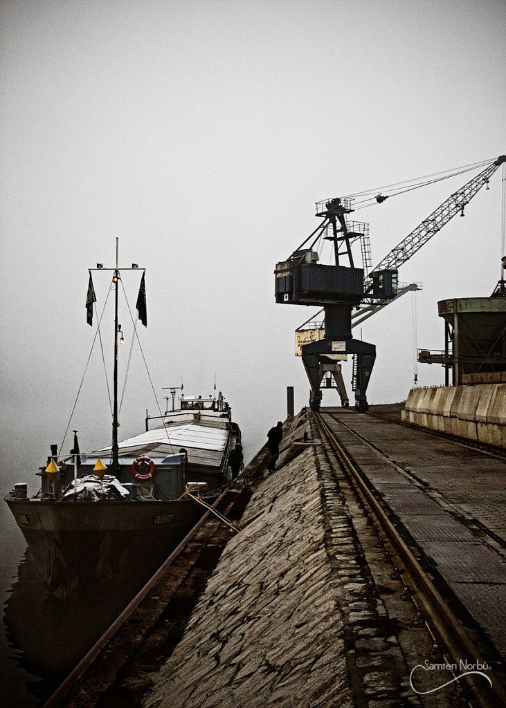 La vie du Rhin — photographie de Samten Norbù