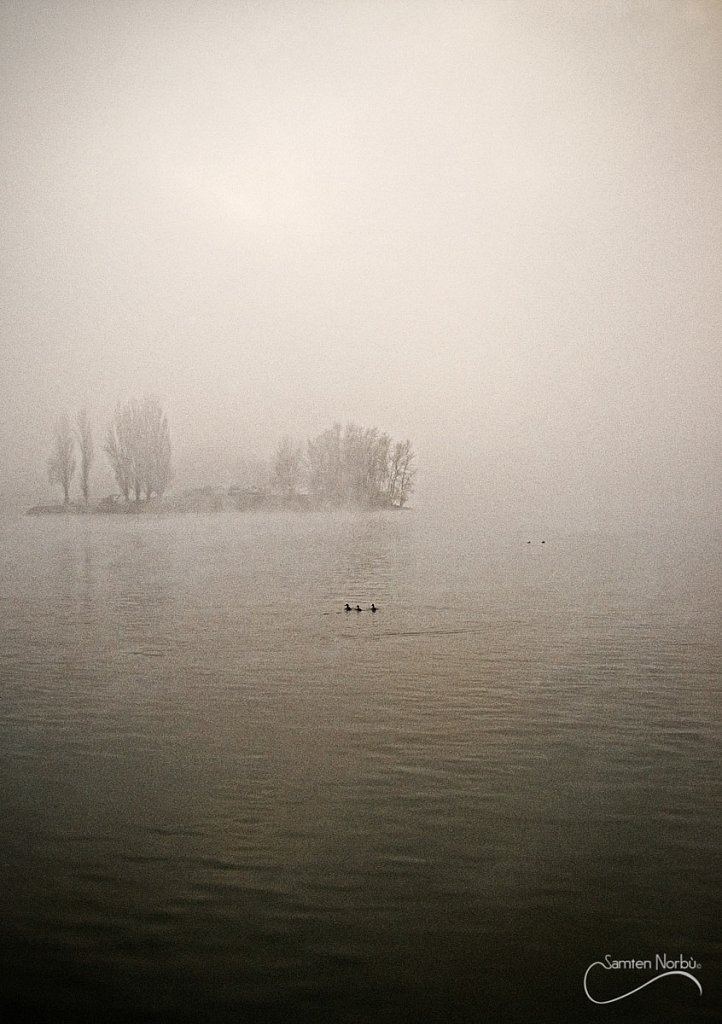 La vie du Rhin — photographie de Samten Norbù