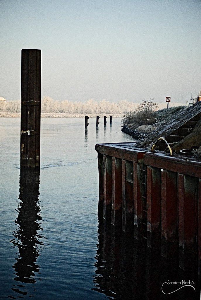 La vie du Rhin — photographie de Samten Norbù