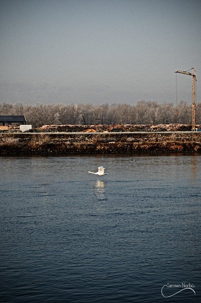 La vie du Rhin — photographie de Samten Norbù