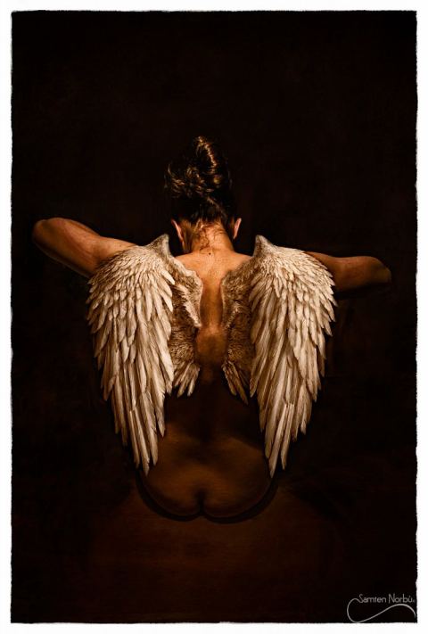 Les Anges — photographies de Samten Norbù