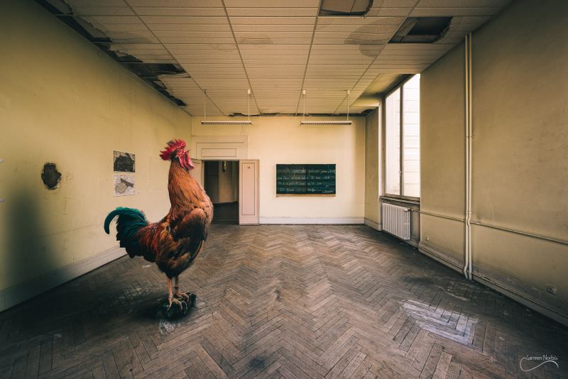 Lieux abandonnés, mais habités (TNS Strasbourg) — photographie de Samten Norbù