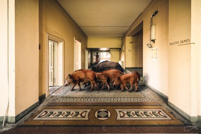 Lieux abandonnés, mais habités (TNS Strasbourg) — photographie de Samten Norbù