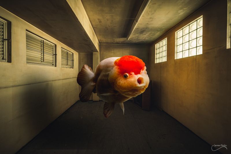 Lieux abandonnés, mais habités (TNS Strasbourg) — photographie de Samten Norbù