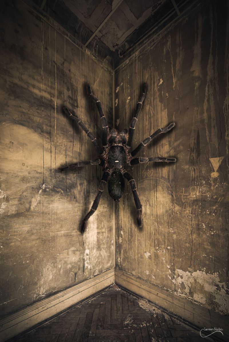 Lieux abandonnés, mais habités (TNS Strasbourg) — photographie de Samten Norbù