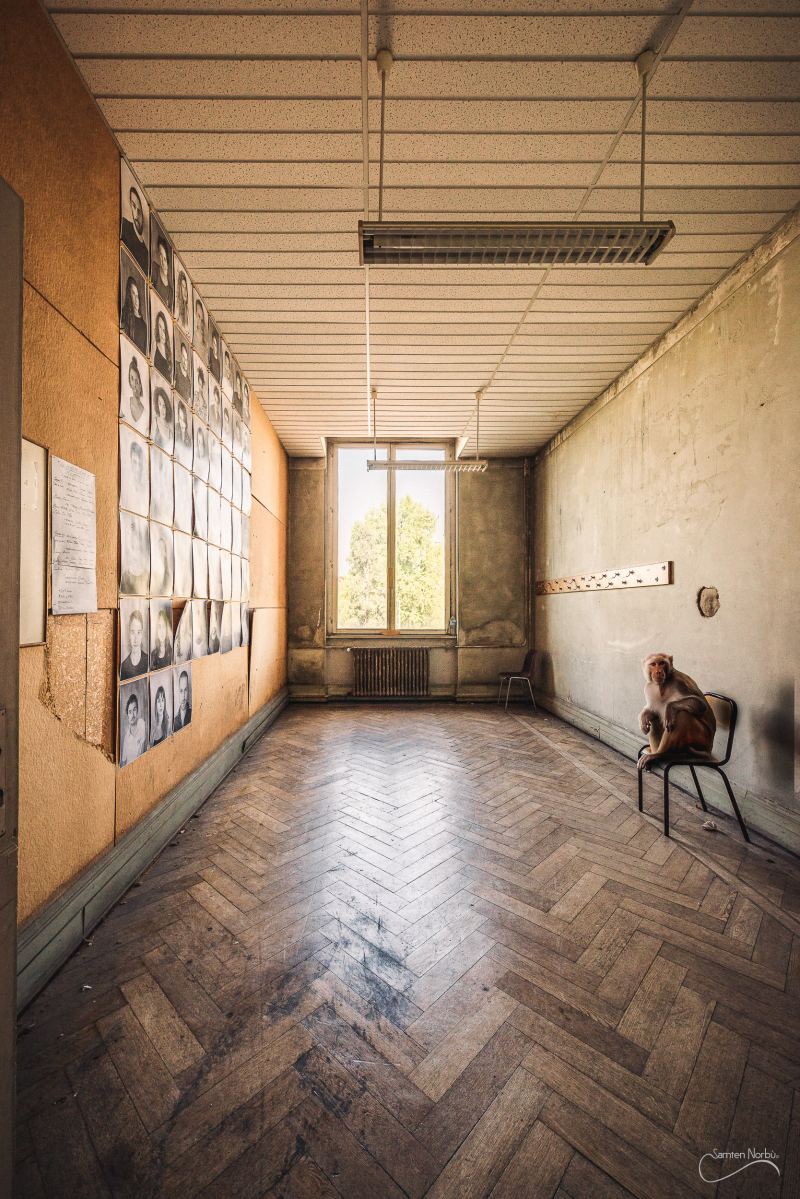 Lieux abandonnés, mais habités (TNS Strasbourg) — photographie de Samten Norbù