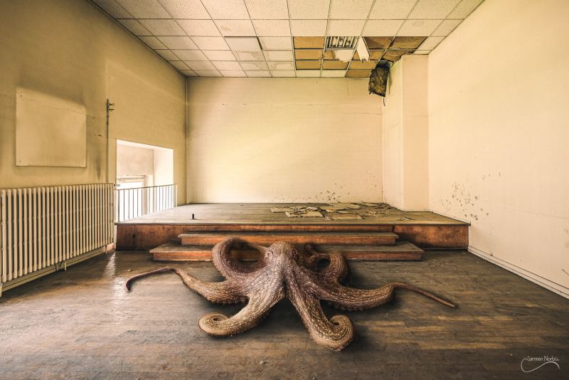 Lieux abandonnés, mais habités (TNS Strasbourg) — photographie de Samten Norbù