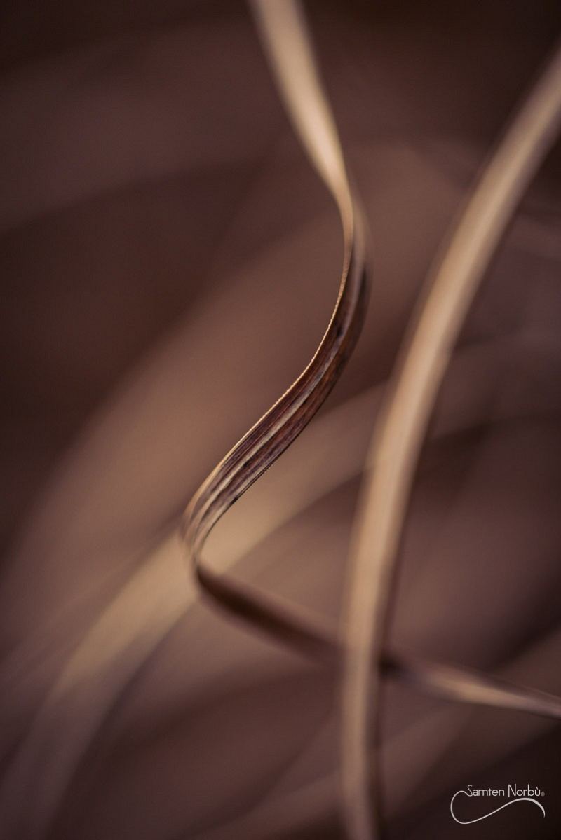 Macro — photographie de Samten Norbù