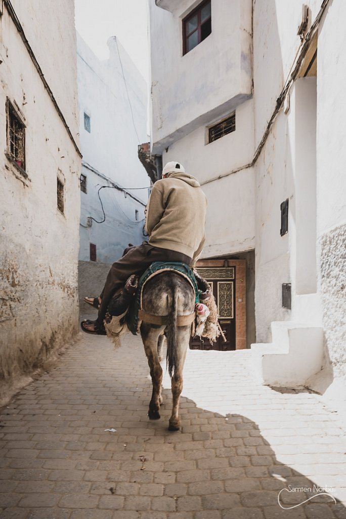 Maroc — photographie de Samten Norbù