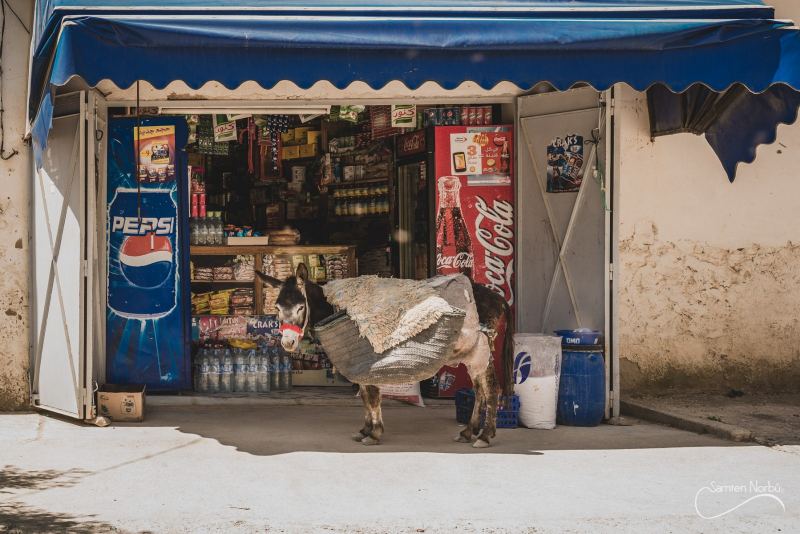 Maroc — photographie de Samten Norbù