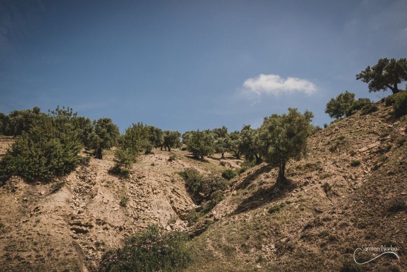 Maroc — photographie de Samten Norbù