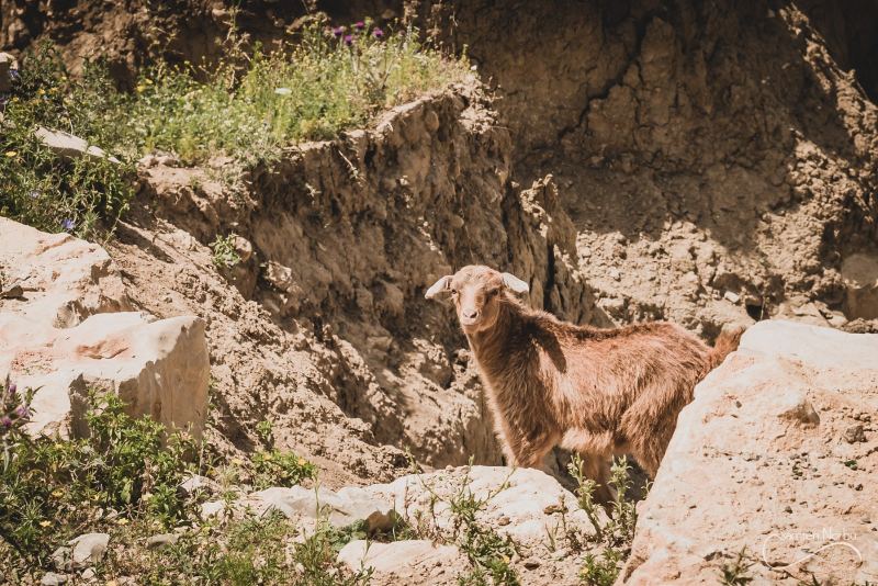 Maroc — photographie de Samten Norbù