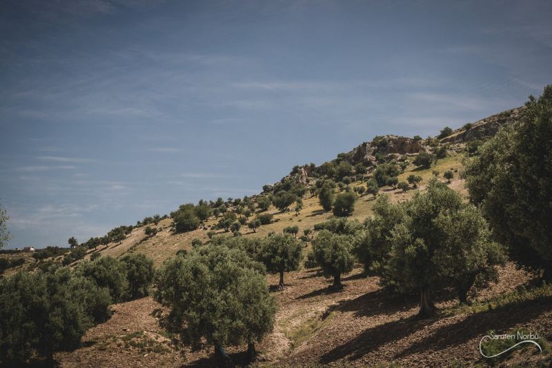 Maroc — photographie de Samten Norbù